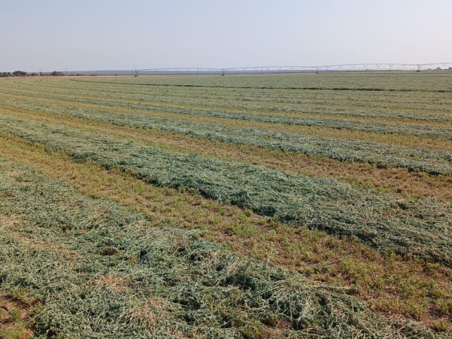 Commercial Property for Sale in Douglas Rural Northern Cape